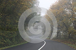 A road in a forest at autumn