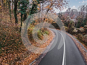 Road Through A Forest In Autumn. Scenic view of wet road through the forest in autumn