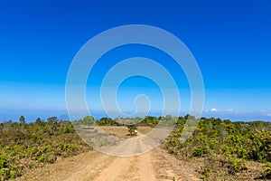 Road in forest and blue sky atmosphere