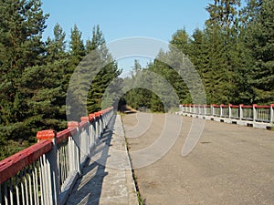 road through the forest bridge over the stream summer day