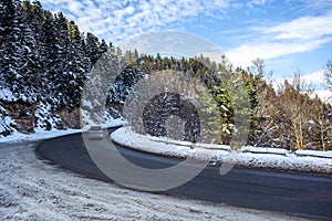 Road in forest in caucasus mountains. winter snow and pine trees. Bakuriani