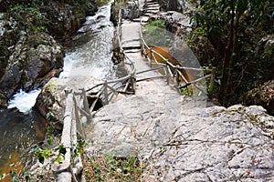 Road through the forest in datanla waterfall, dalat, vietnam