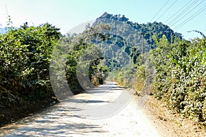 road in forest, digital photo picture as a background , taken in vang vieng, laos, asia