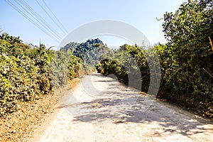 road in forest, digital photo picture as a background , taken in vang vieng, laos, asia