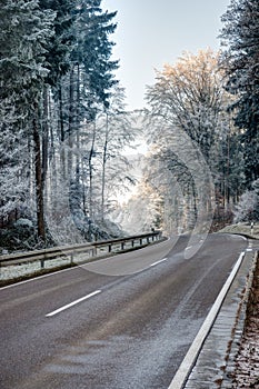 Road through a forest with frosted trees