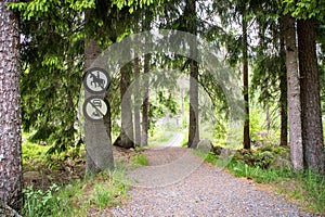 Road in forest with a no riding sign and a no vehicles sign