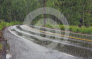 Road in forest in rain