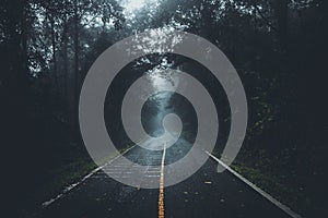 The road into the forest in the rainy season