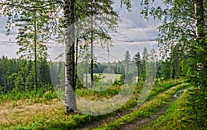 Road through forest, Renko, Finland