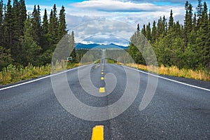 Road through the forest of the Richardson Highway in Alaska