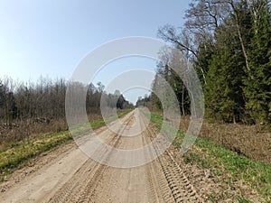 Road in forest in Siauliai county during sunny early spring day