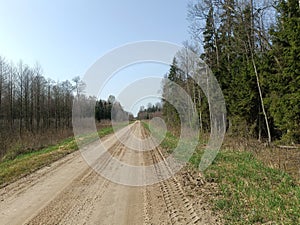 Road in forest in Siauliai county during sunny early spring day