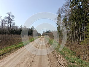 Road in forest in Siauliai county during sunny early spring day