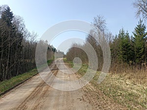 Road in forest in Siauliai county during sunny early spring day