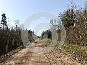 Road in forest in Siauliai county during sunny early spring day