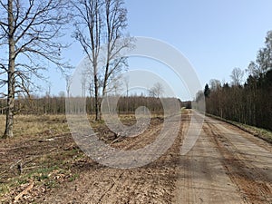 Road in forest in Siauliai county during sunny early spring day