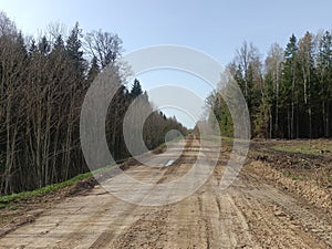 Road in forest in Siauliai county during sunny early spring day