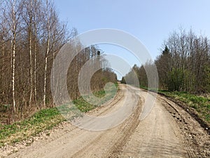 Road in forest in Siauliai county during sunny early spring day