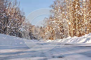 Road forest snow winter trees snowy