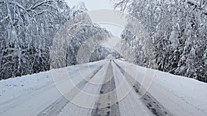 The road in forest after snowstorm