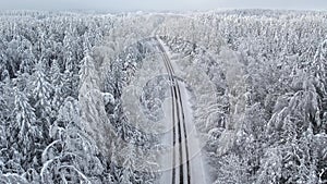 The road in forest after snowstorm