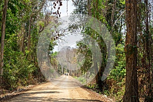 Road in the forest Souhtern of Laos Southeat Asia photo