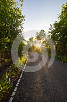 Road in Forest with the sun behind