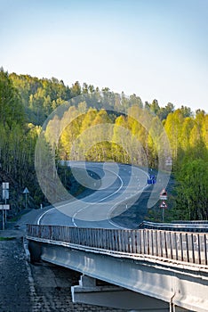 The road in the forest on a sunny spring day. Russia