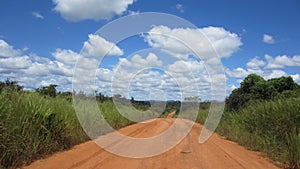 Road in the Forest in Tikar Country