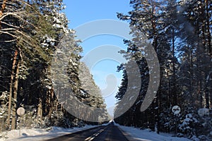 Road forest tree Christmas Poland Belarus National park winter snow