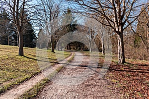 Road in the forest with trees and their fallen leaves