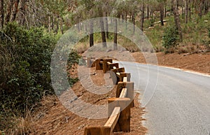 Road in the forest with wooden guardrail