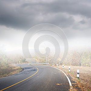 Road in forrest and rainclouds