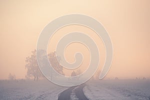 Road with frost-covered trees in winter forest at foggy sunrise