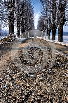 A road with frost in monferrato, north-west italy photo