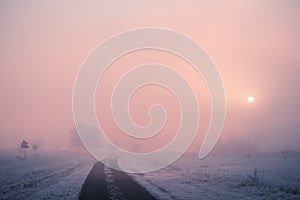 Road with frosted trees in winter mountains at foggy sunrise