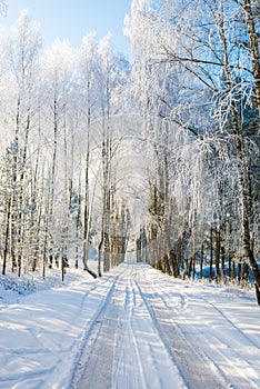 Road in frosty winter