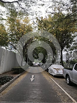 The road is full of cars and trees along the way.