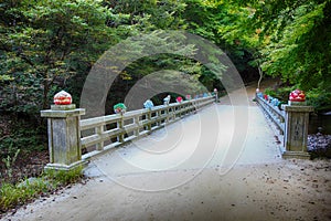 Road of Gangcheonsan Mountain, Sunchang, Jeollanamdo, South Korea