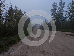 The road that goes along the forest in the fog.