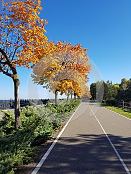 The road goes into the distance. Bright blue sky. Autumn. Trees wiht autumn`s foliage.