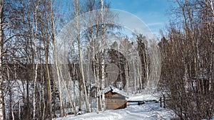 The road goes through the winter forest.