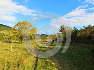 Road going past a fenced meadow