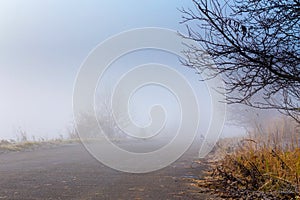 Road going in to the fog