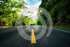 Road going through a trees