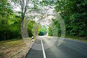 Road going through a trees