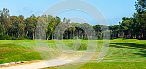 Road for golf cars on a golf course, smooth green grass on a sunny day and pine trees