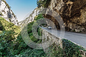 Road in gorge in the Alpes-Maritimes photo