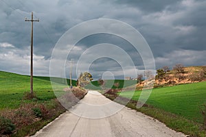 Road in green