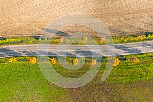 Road between green field and cultivated ground with yellow trees at sunset in autumn. Aerial view on empty asphalt speedway or.